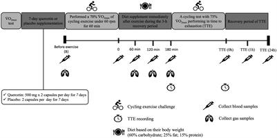 Short-Term Oral Quercetin Supplementation Improves Post-exercise Insulin Sensitivity, Antioxidant Capacity and Enhances Subsequent Cycling Time to Exhaustion in Healthy Adults: A Pilot Study